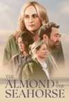 Poster Almond and the Seahorse 2022 Celyn Jones Tom Stern