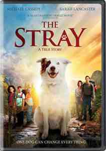 The Stray DVD