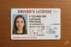 us drivers licence